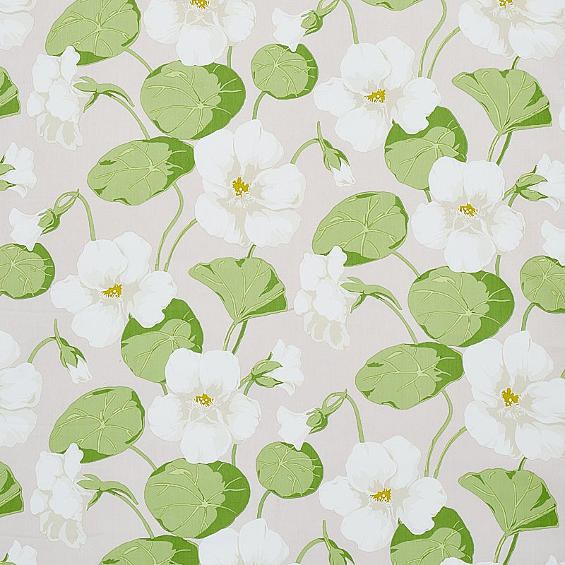 NASTURTIUM-STONE-SCHUMACHER-179492