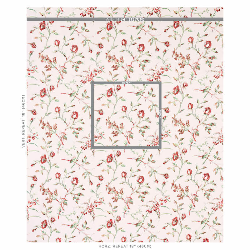 BELUZE-BLUSH-SCHUMACHER-179621