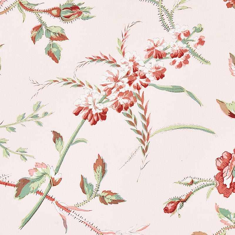 BELUZE-BLUSH-SCHUMACHER-179621