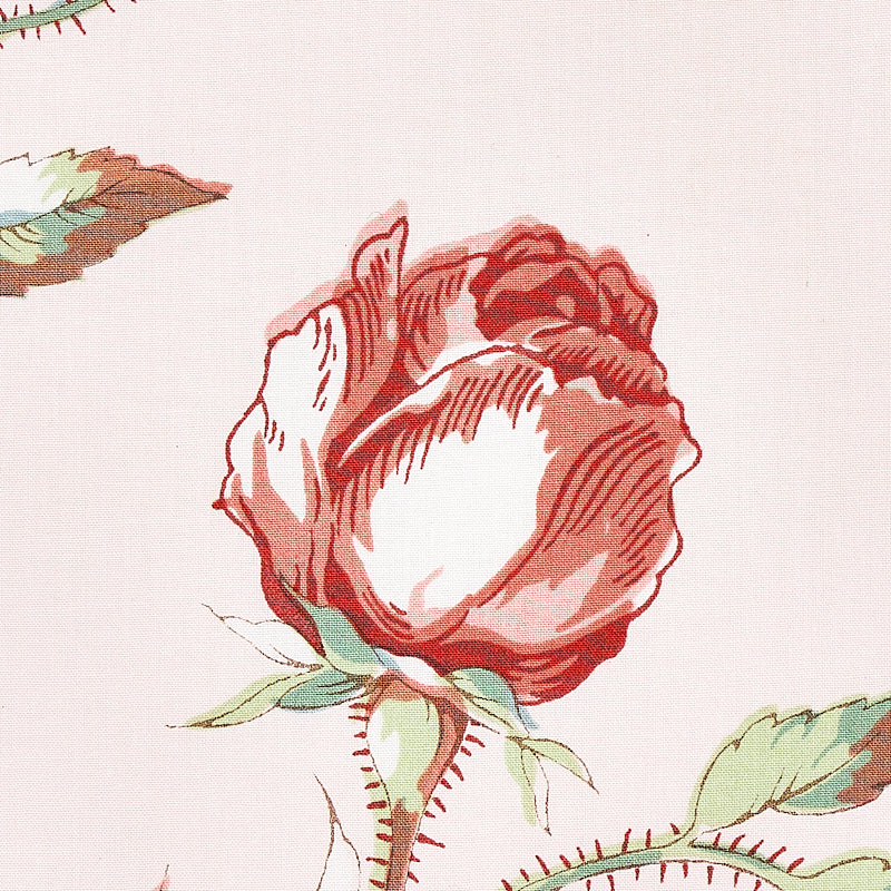 BELUZE-BLUSH-SCHUMACHER-179621