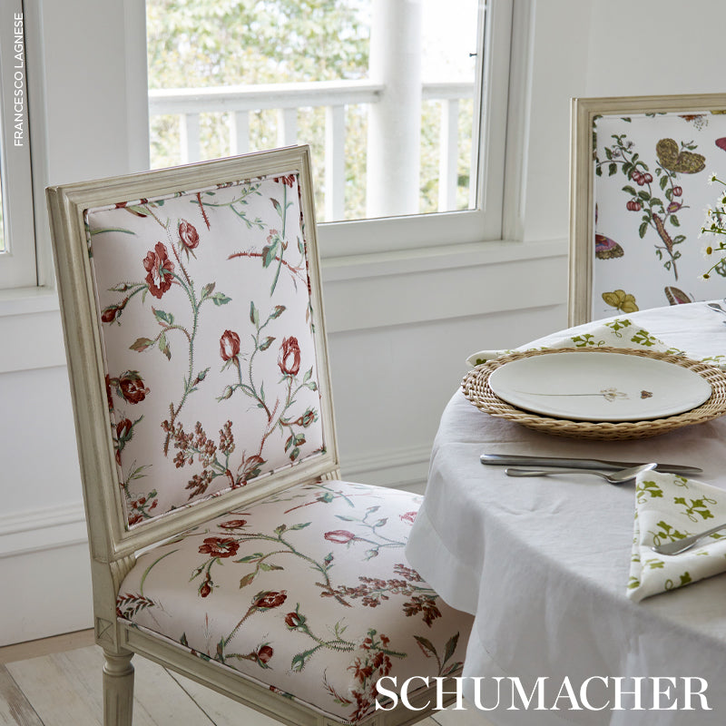 BELUZE-BLUSH-SCHUMACHER-179621