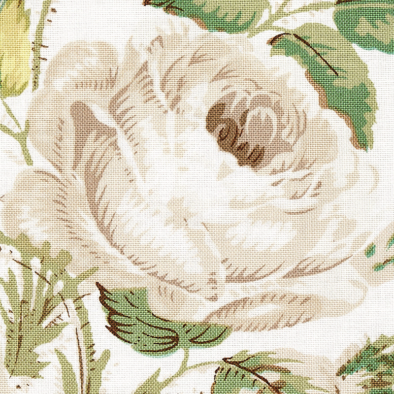 LOUDON-ROSE-IVORY-SCHUMACHER-179630