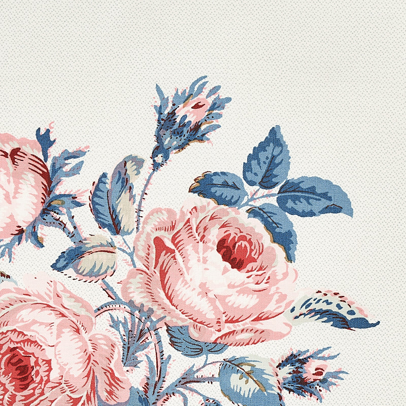 LOUDON-ROSE-ROSE-BLUE-SCHUMACHER-179632