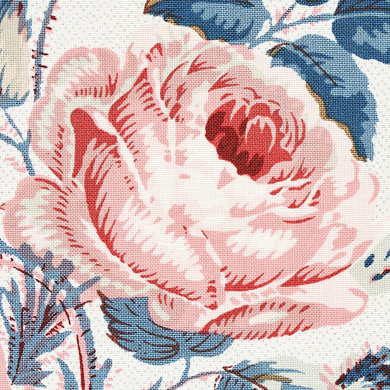 LOUDON-ROSE-ROSE-BLUE-SCHUMACHER-179632