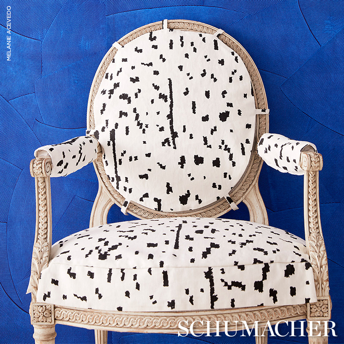 BESPOTTED-BLACK-SCHUMACHER-180311