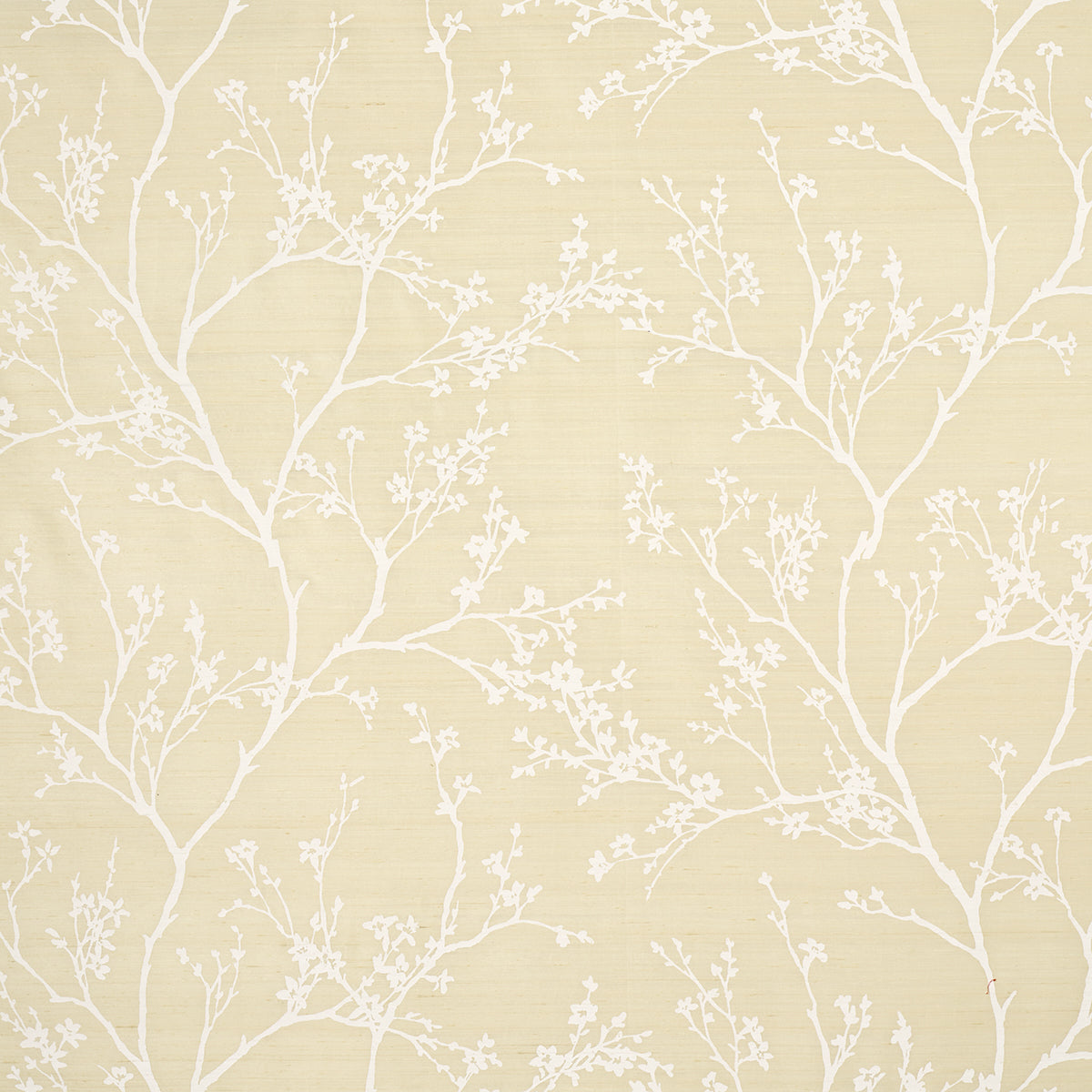 TWIGGY-SILK-CHAMPAGNE-SCHUMACHER-180501 - Schumacher Fabric