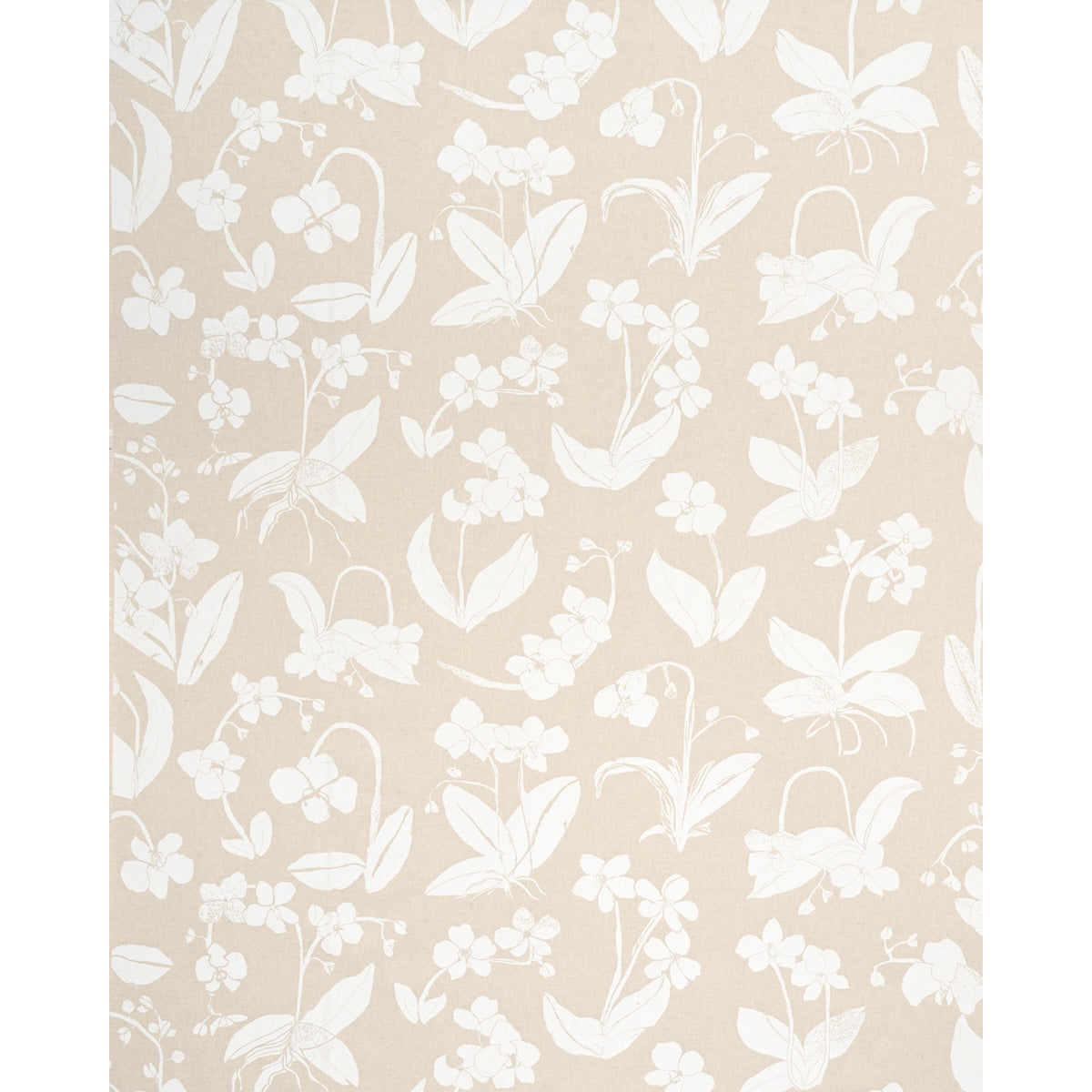 ORCHIDS-HAVE-DREAMS-LIGHT-NEUTRAL-SCHUMACHER-180511