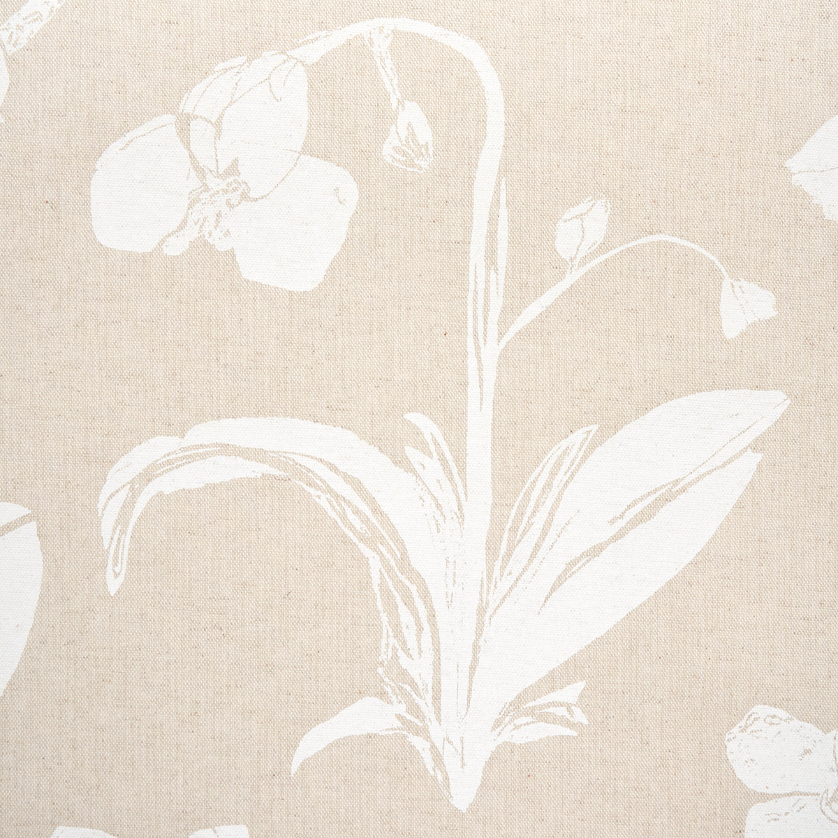 ORCHIDS-HAVE-DREAMS-LIGHT-NEUTRAL-SCHUMACHER-180511