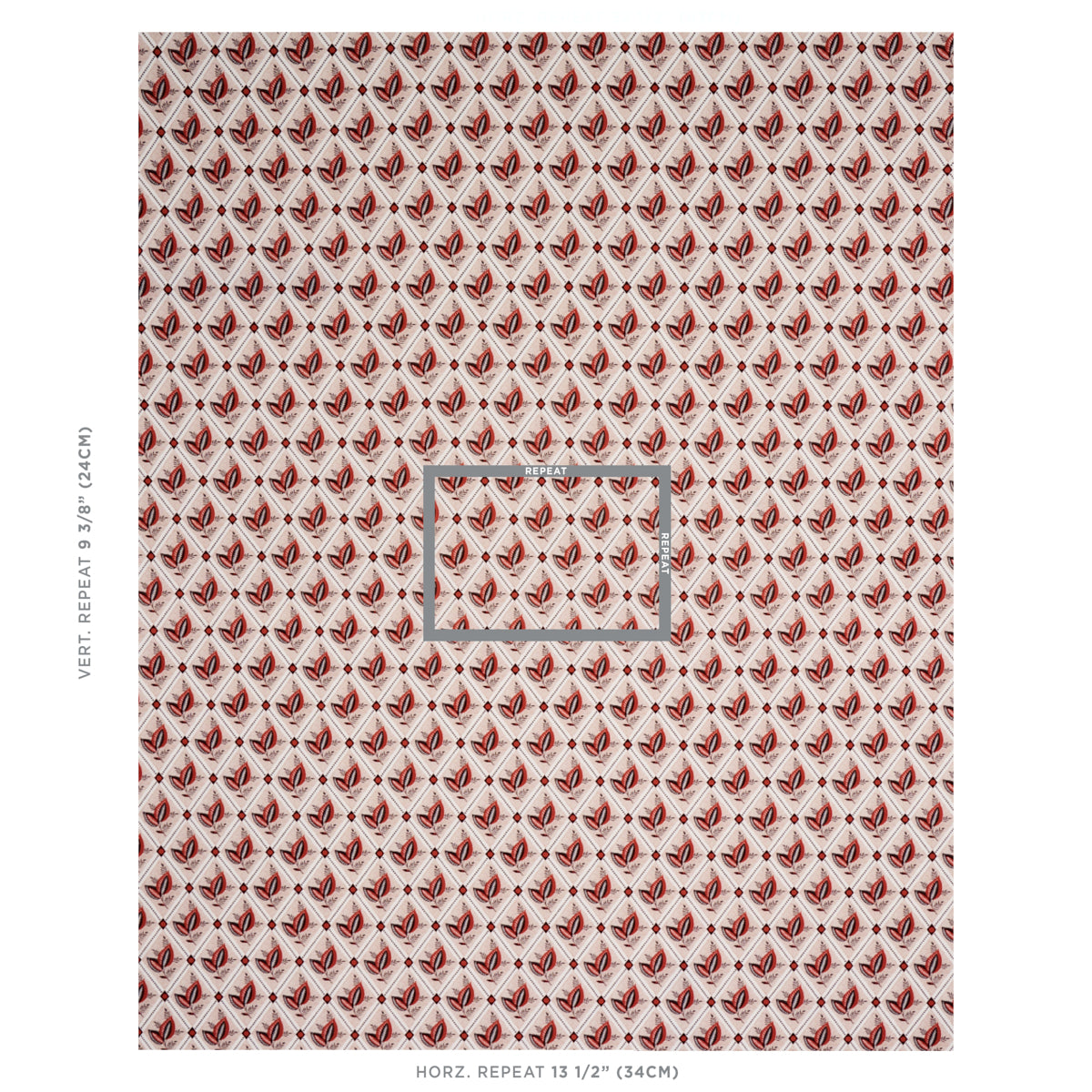 BASILE-TRELLIS-SPICE-CARBON-SCHUMACHER-180571