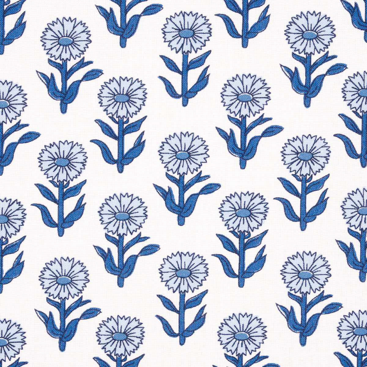 ADELINE-PORCELAIN-SCHUMACHER-180580