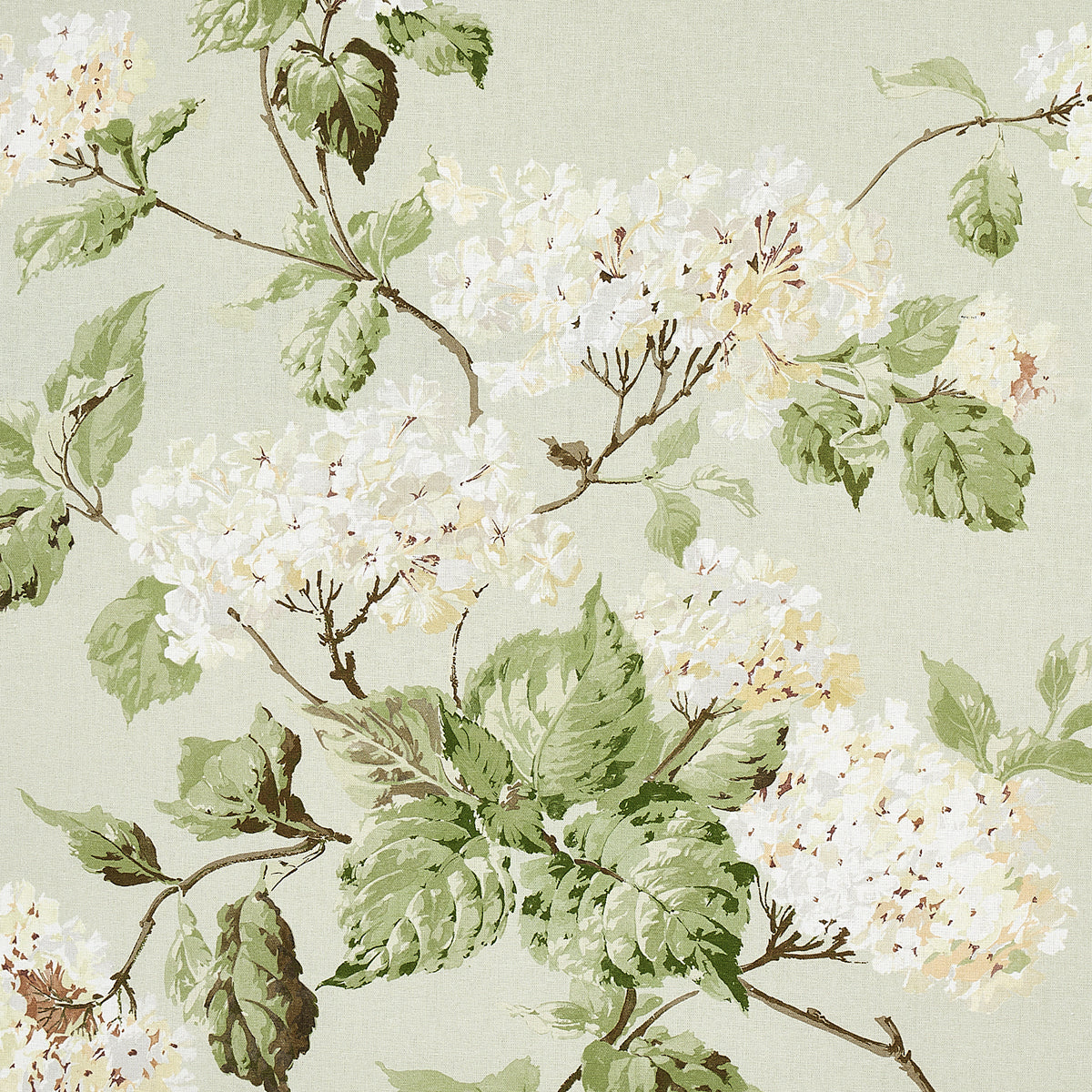 SUMMER-HYDRANGEA-CELADON-SCHUMACHER-180820 - Schumacher Fabric