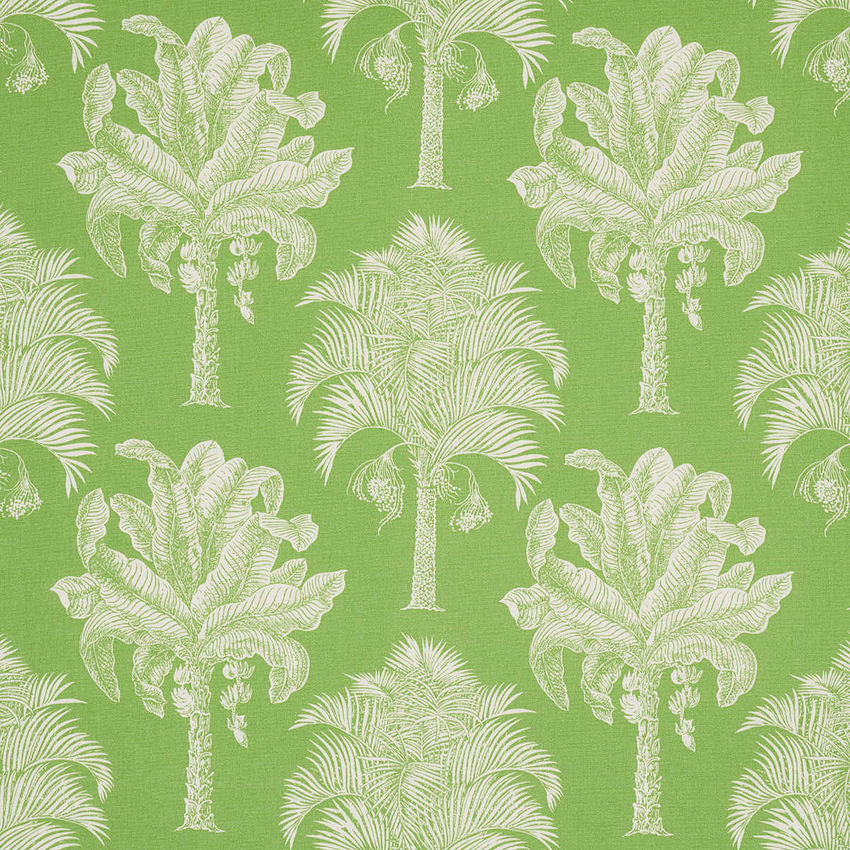 GRAND-PALMS-INDOOR-OUTDOOR-GREEN-SCHUMACHER-180960 - Schumacher Fabric