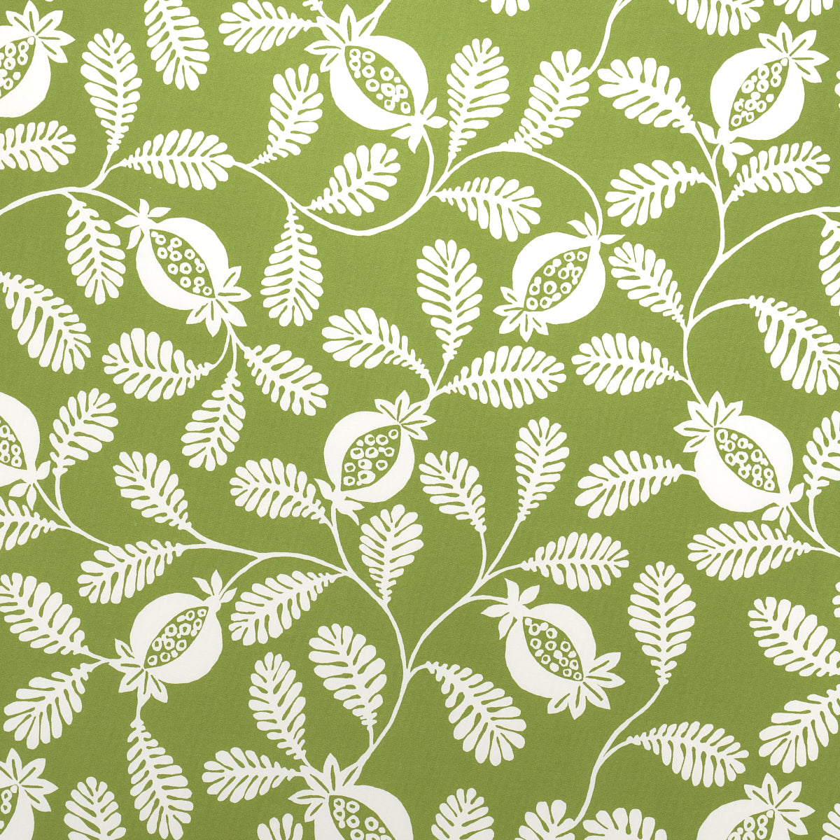 LANZADERA-VINE-INDOOR-OUTDOOR-HONEYDEW-SCHUMACHER-180991 - Schumacher Fabric