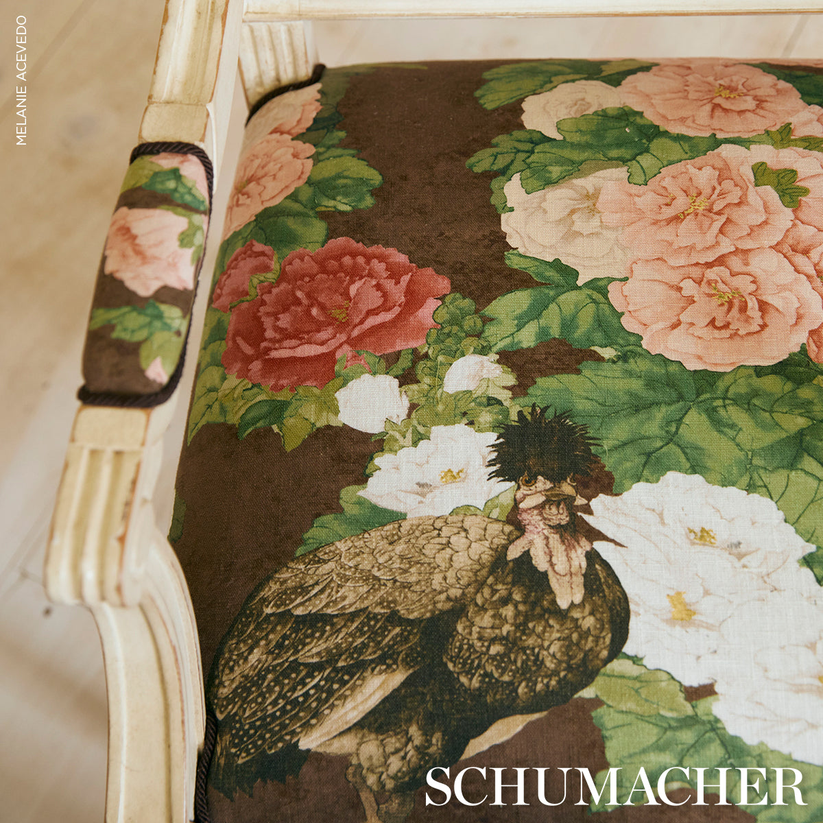 LADY-HOLLYHOCK-BROWN-SCHUMACHER-181041 - Schumacher Fabric