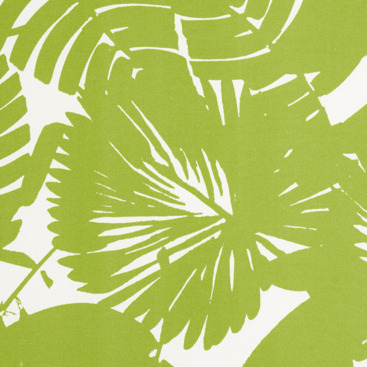 PALISADES-PALM-INDOOR-OUTDOOR-FERN-SCHUMACHER-181071 - Schumacher Fabric