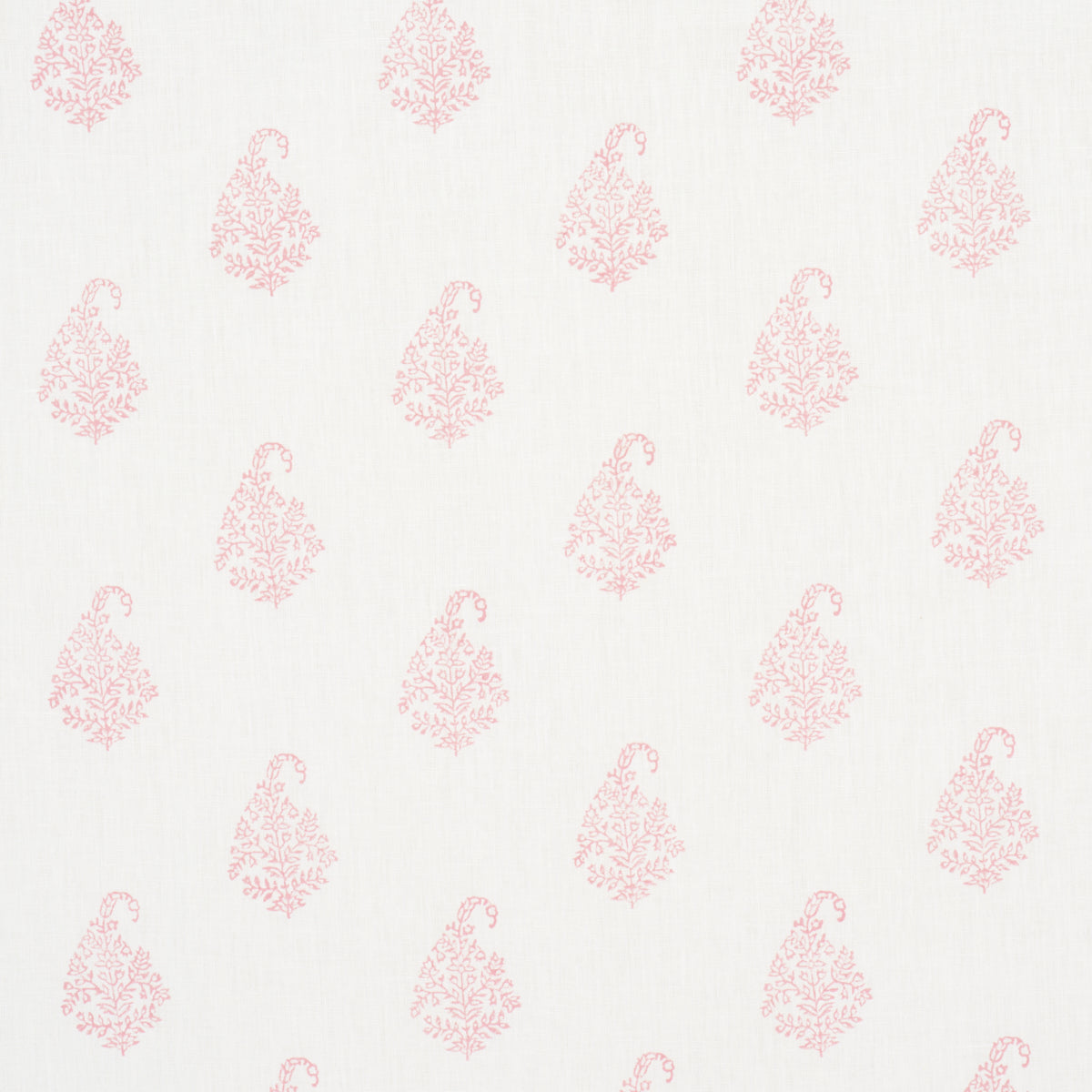 KERALA-PAISLEY-BLUSH-SCHUMACHER-181353 - Schumacher Tela