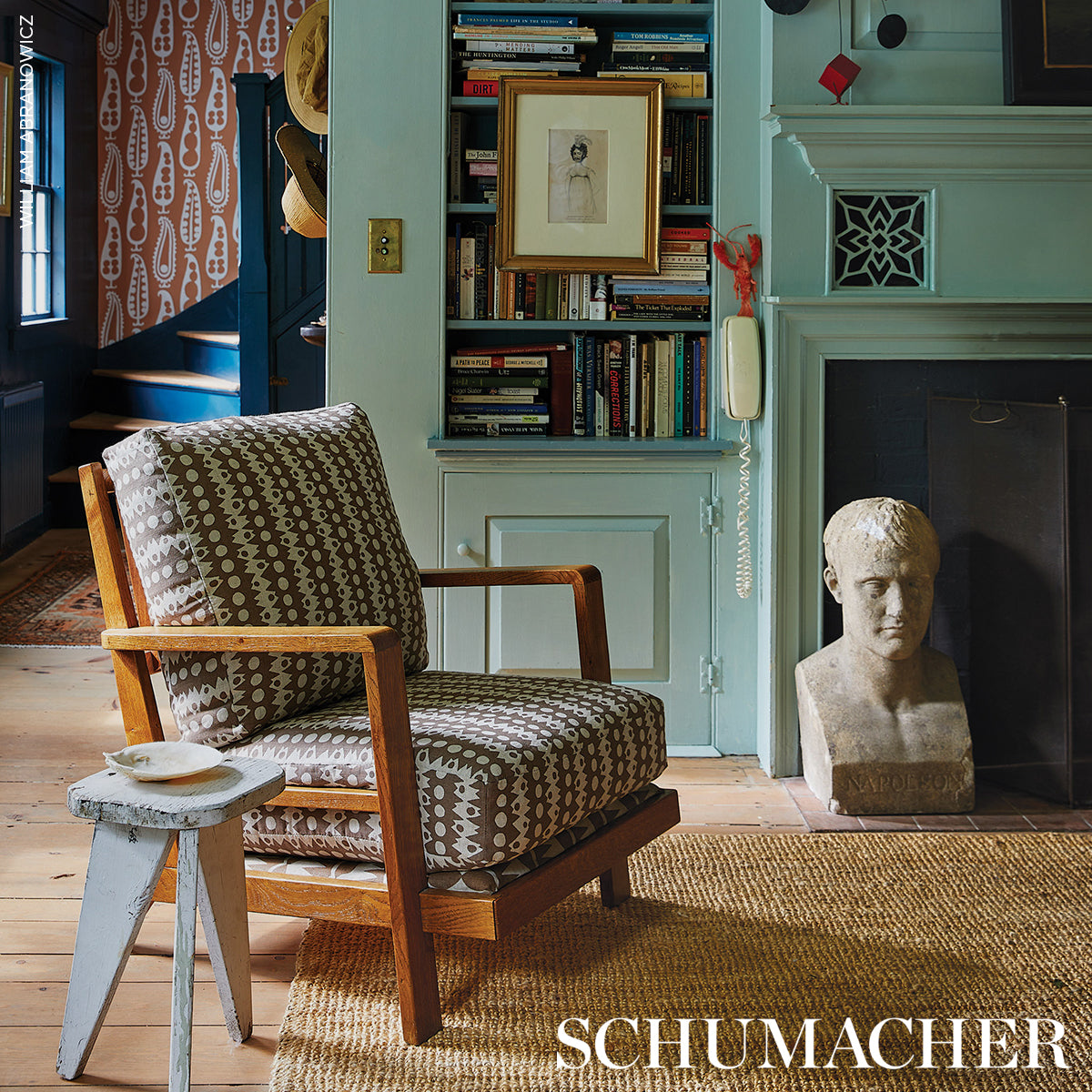 TRICKLEDOWN-BROWN-ON-NATURAL-SCHUMACHER-181553 - Schumacher Tela