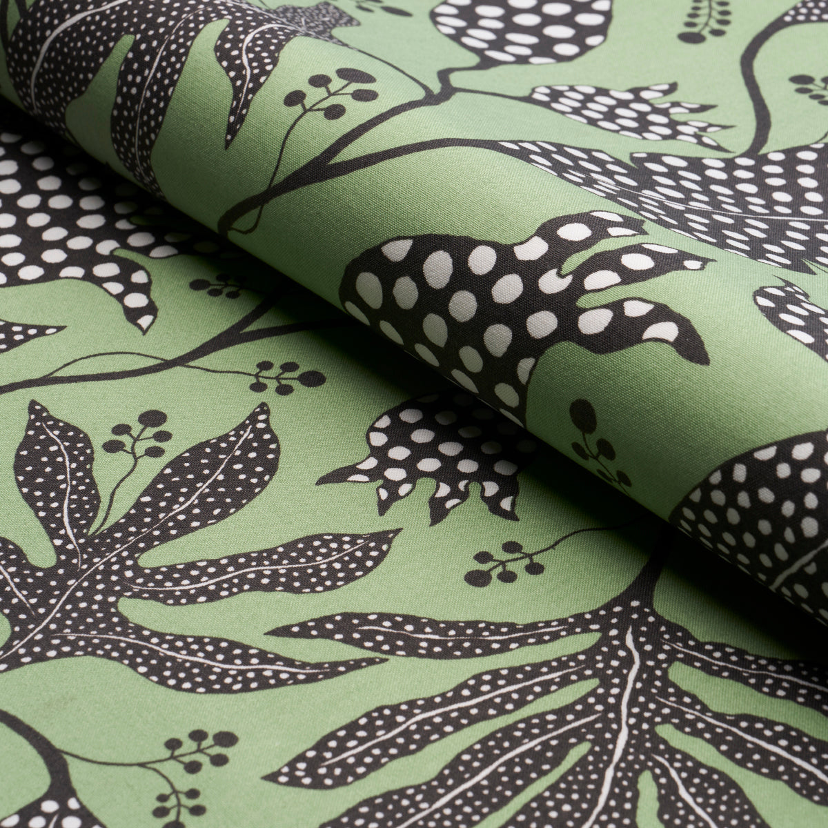 POLKA-DOT-JUNGLE-BLACK-GREEN-SCHUMACHER-181651 - Schumacher Fabric