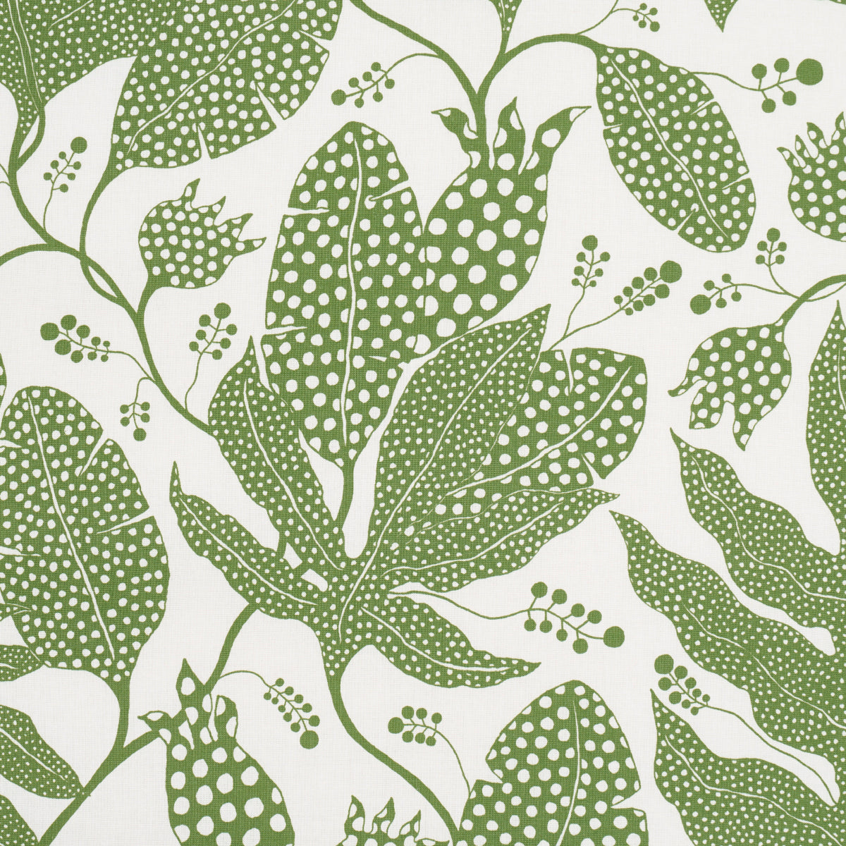POLKA-DOT-JUNGLE-GREEN-IVORY-SCHUMACHER-181652 - Schumacher Fabric