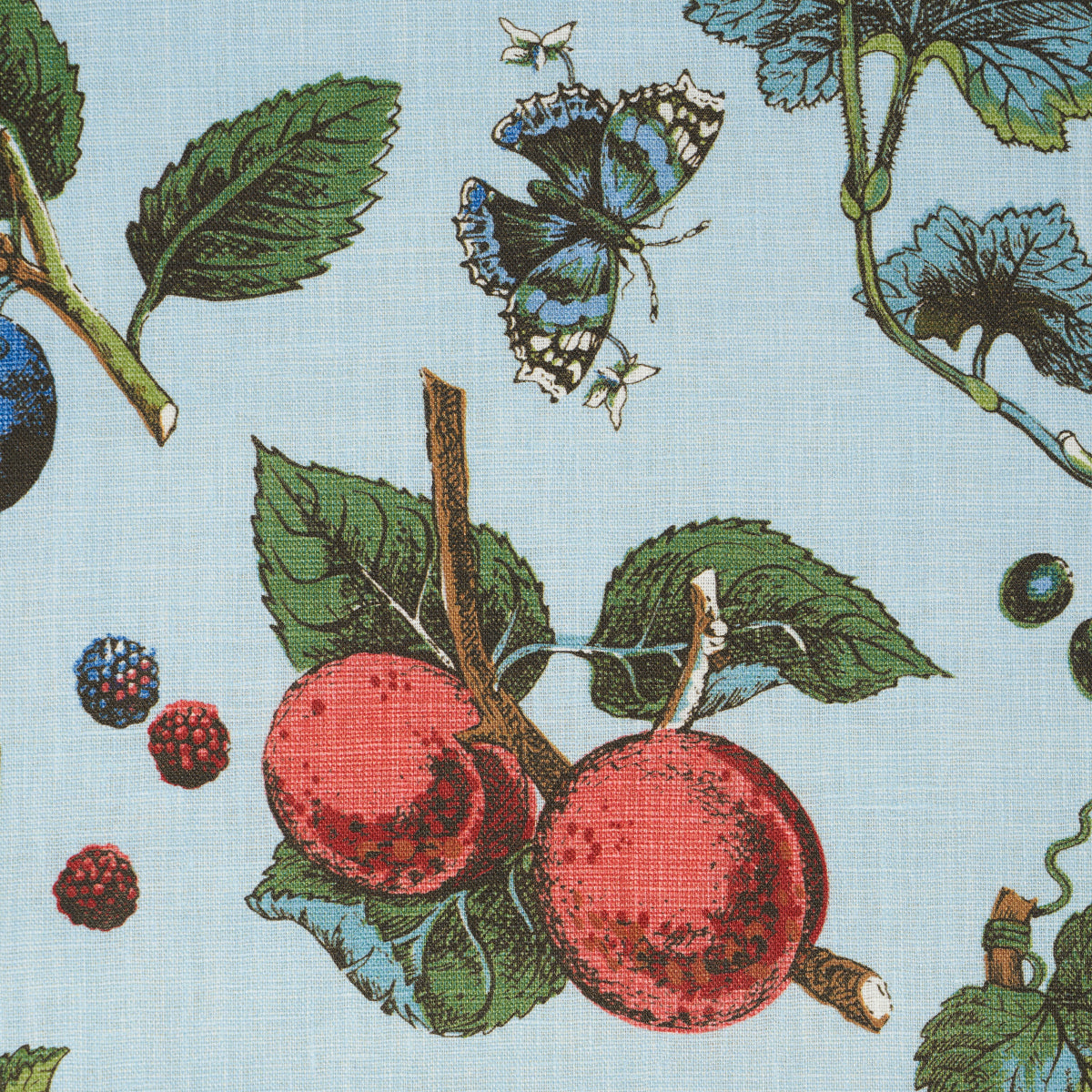 BERRY-GROVE-SKY-SCHUMACHER-181891 - Schumacher Tela