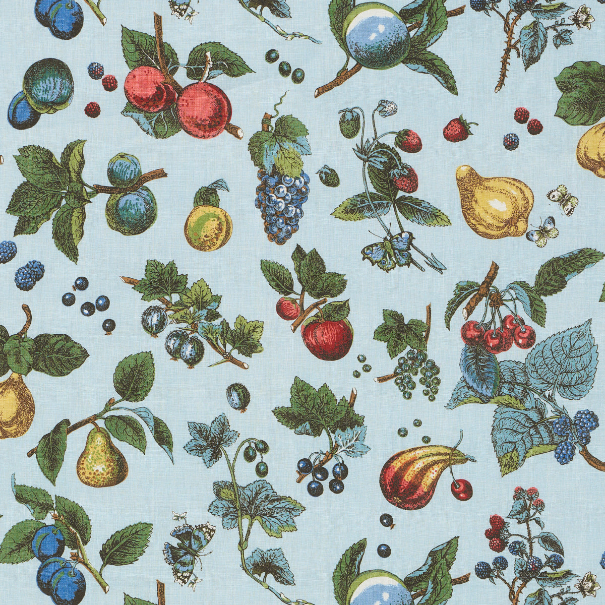 BERRY-GROVE-SKY-SCHUMACHER-181891 - Schumacher Tela