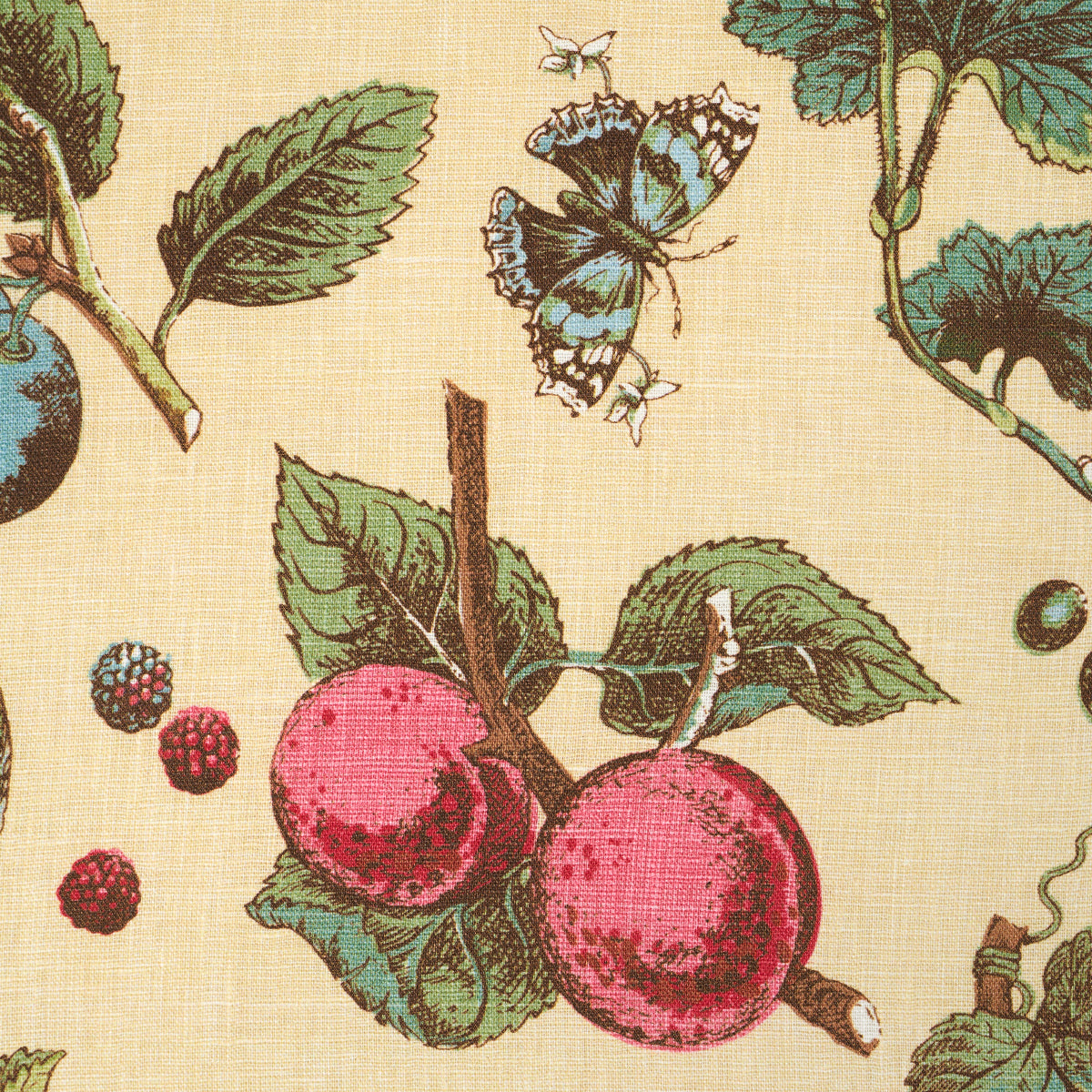 BERRY-GROVE-BUTTER-SCHUMACHER-181892 - Schumacher Tela