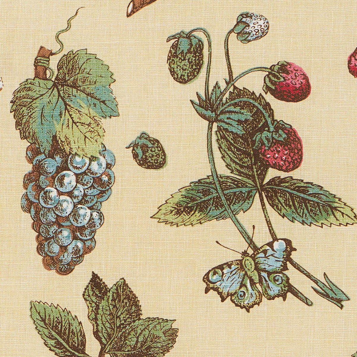 Berry Grove - Butter - Schumacher 181892 Fabric - Schumacher Fabric