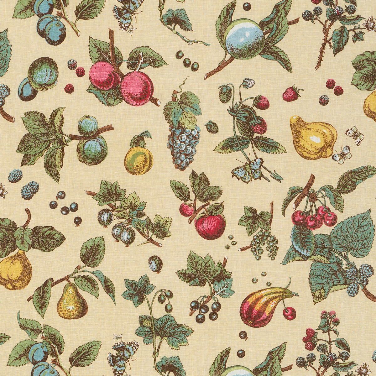 BERRY-GROVE-BUTTER-SCHUMACHER-181892 - Schumacher Tela