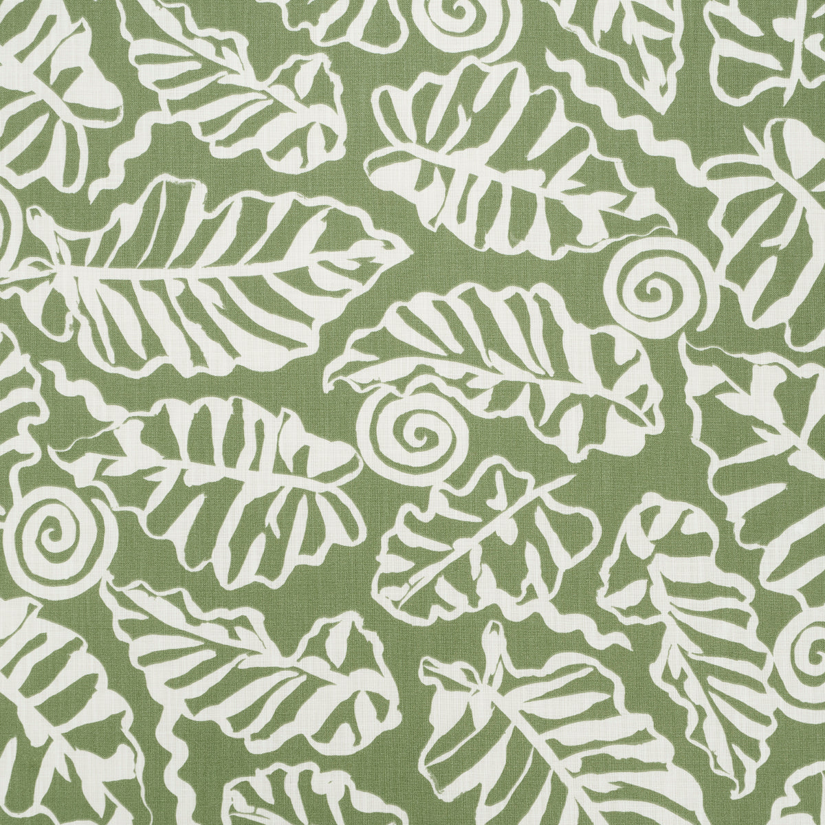 DEL-MAR-INDOOR-OUTDOOR-VERDE-SCHUMACHER-181990 - Schumacher Tela