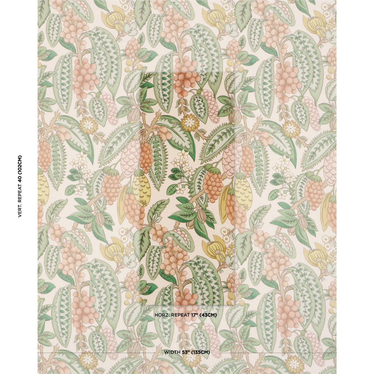 FRUITS-DE-SAISON-APRICOT-SCHUMACHER-182482 - Schumacher Tela