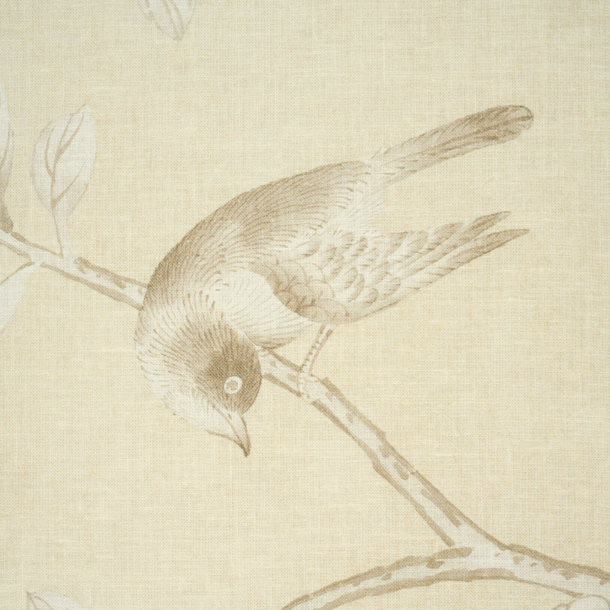 Chinois Palais - Butter - Schumacher 182561 Fabric - Schumacher Fabric
