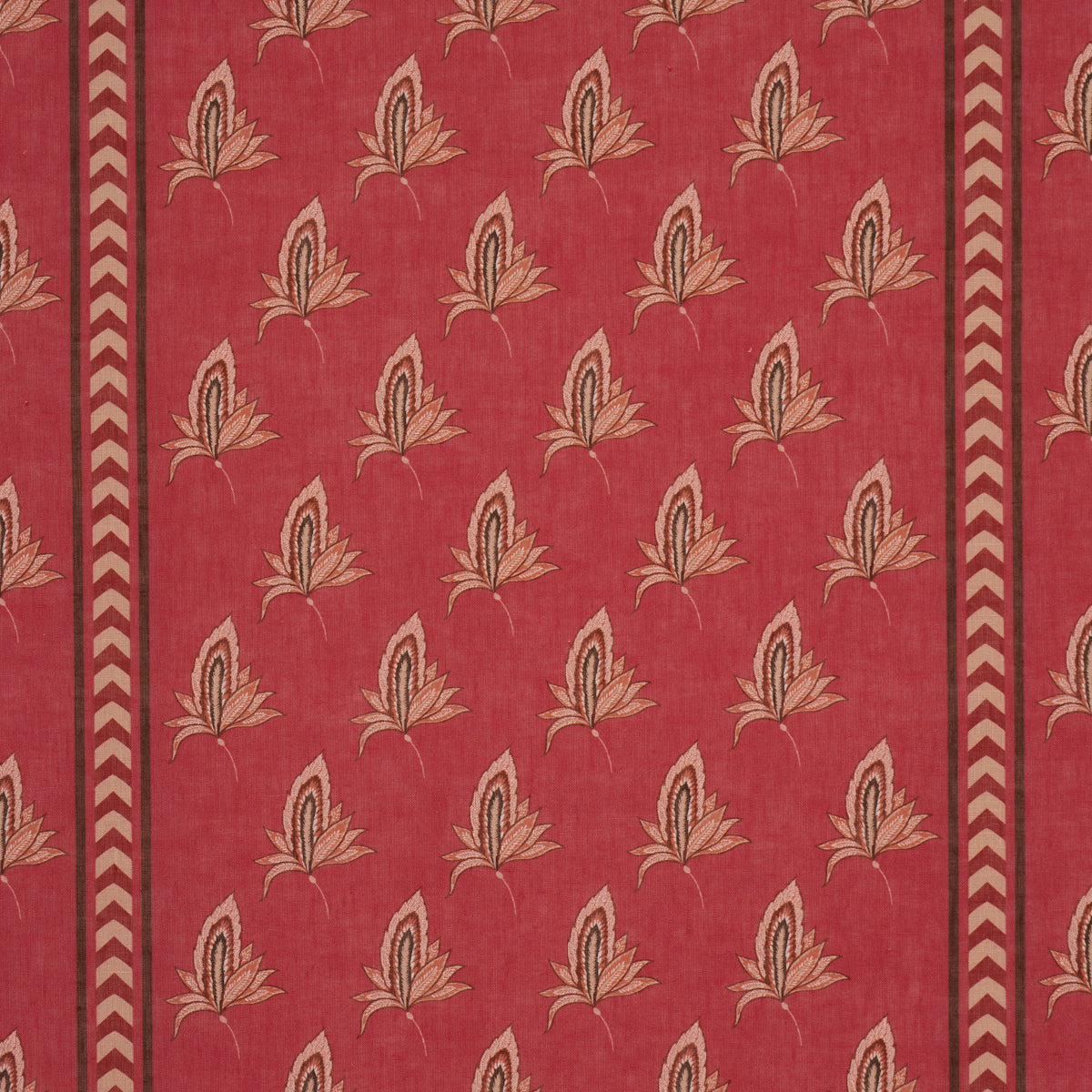 BANGALORE-IMAGINATION-ROUGE-SCHUMACHER-182601