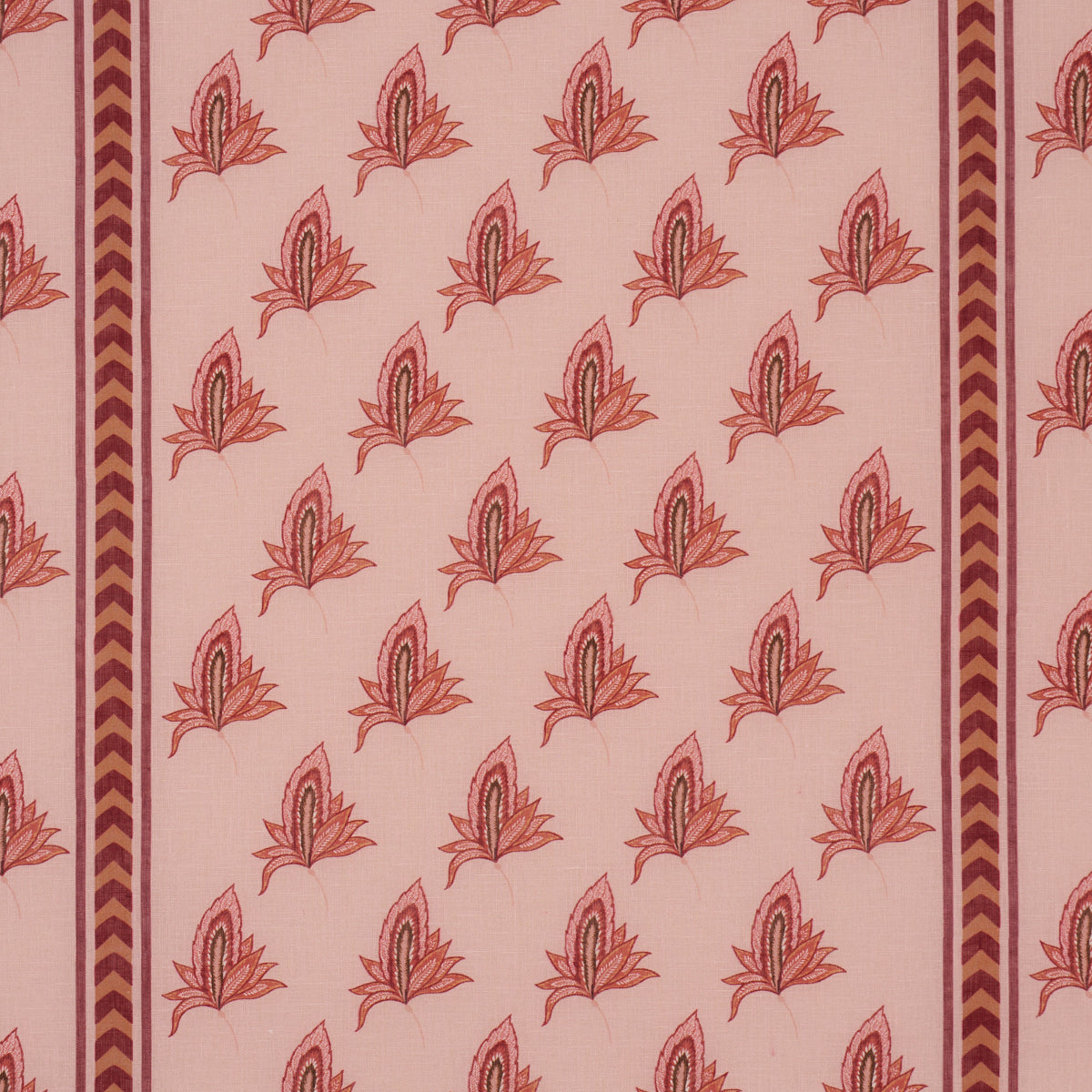 BANGALORE-IMAGINATION-ROSE-SCHUMACHER-182602