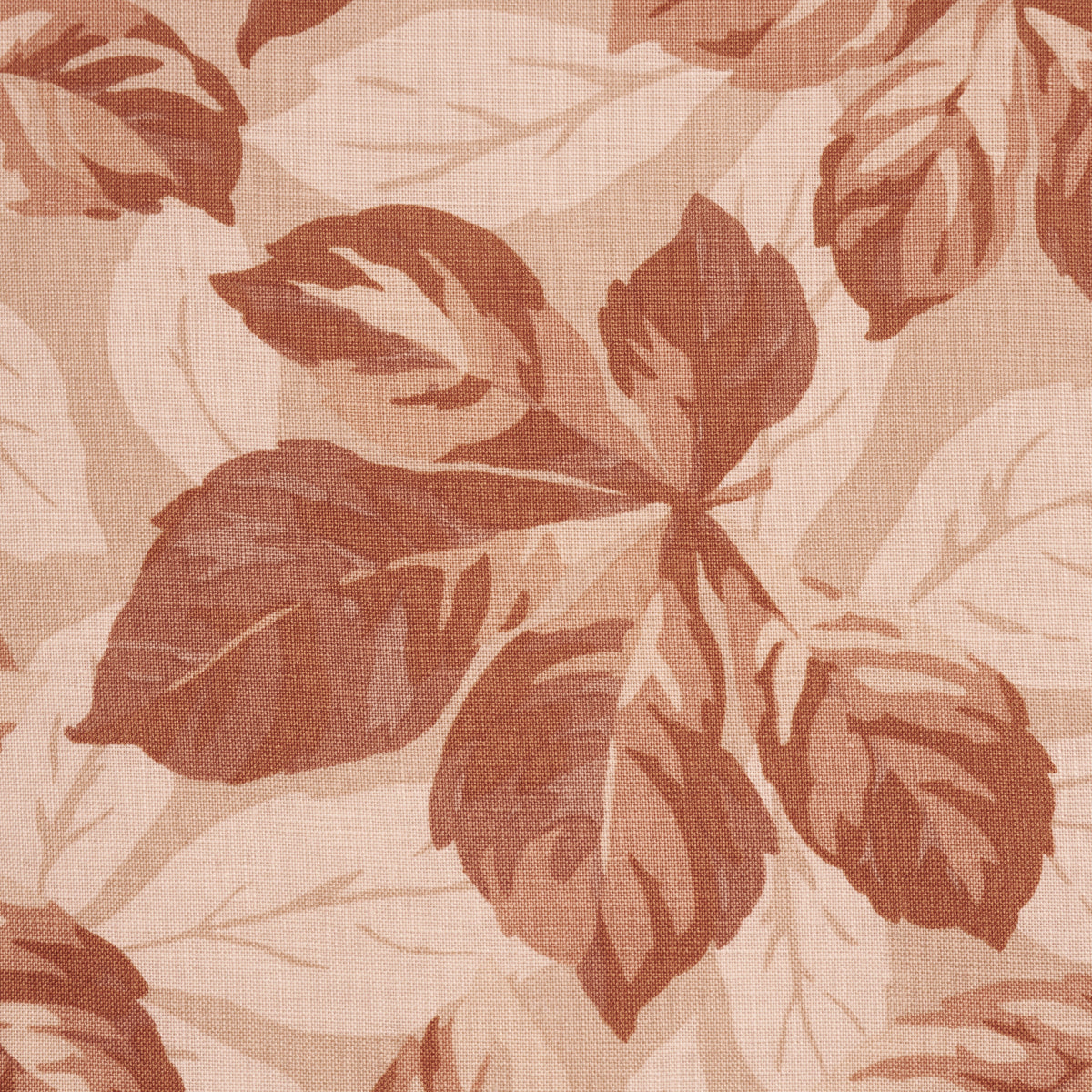ARBOREAL-SPICE-SCHUMACHER-182652