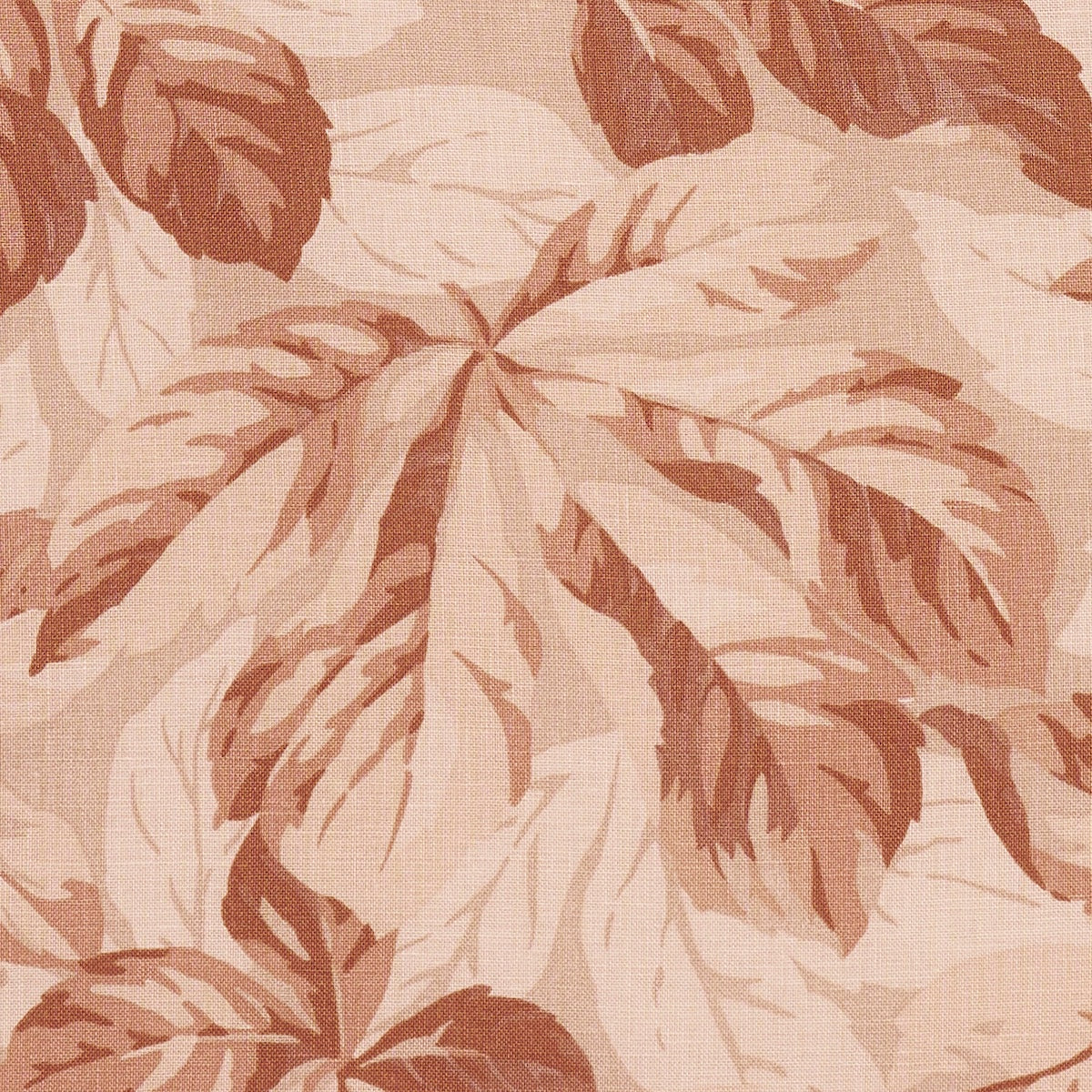 ARBOREAL-SPICE-SCHUMACHER-182652