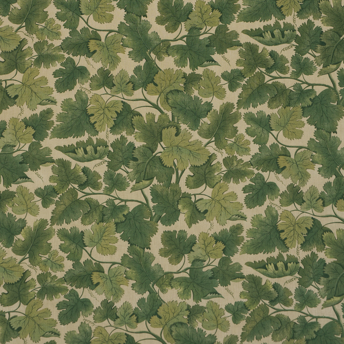 Edinburgh Vine - Moss - Schumacher Fabric 182790 - Schumacher Fabric