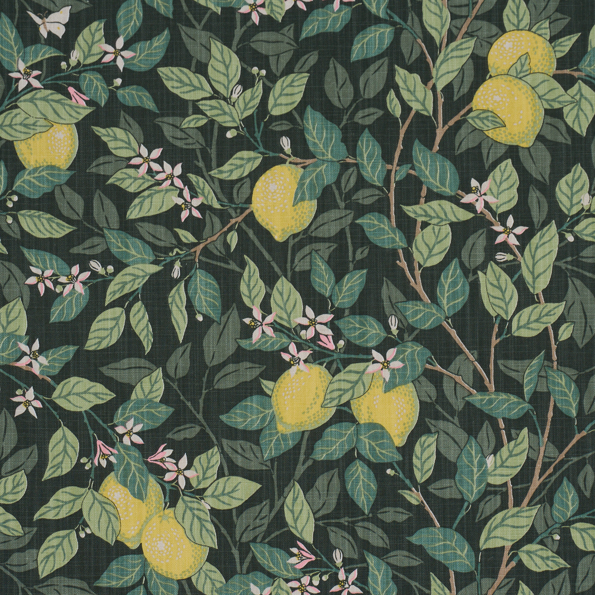 CITRONTRD-GREEN-SCHUMACHER-182951 - Schumacher Fabric