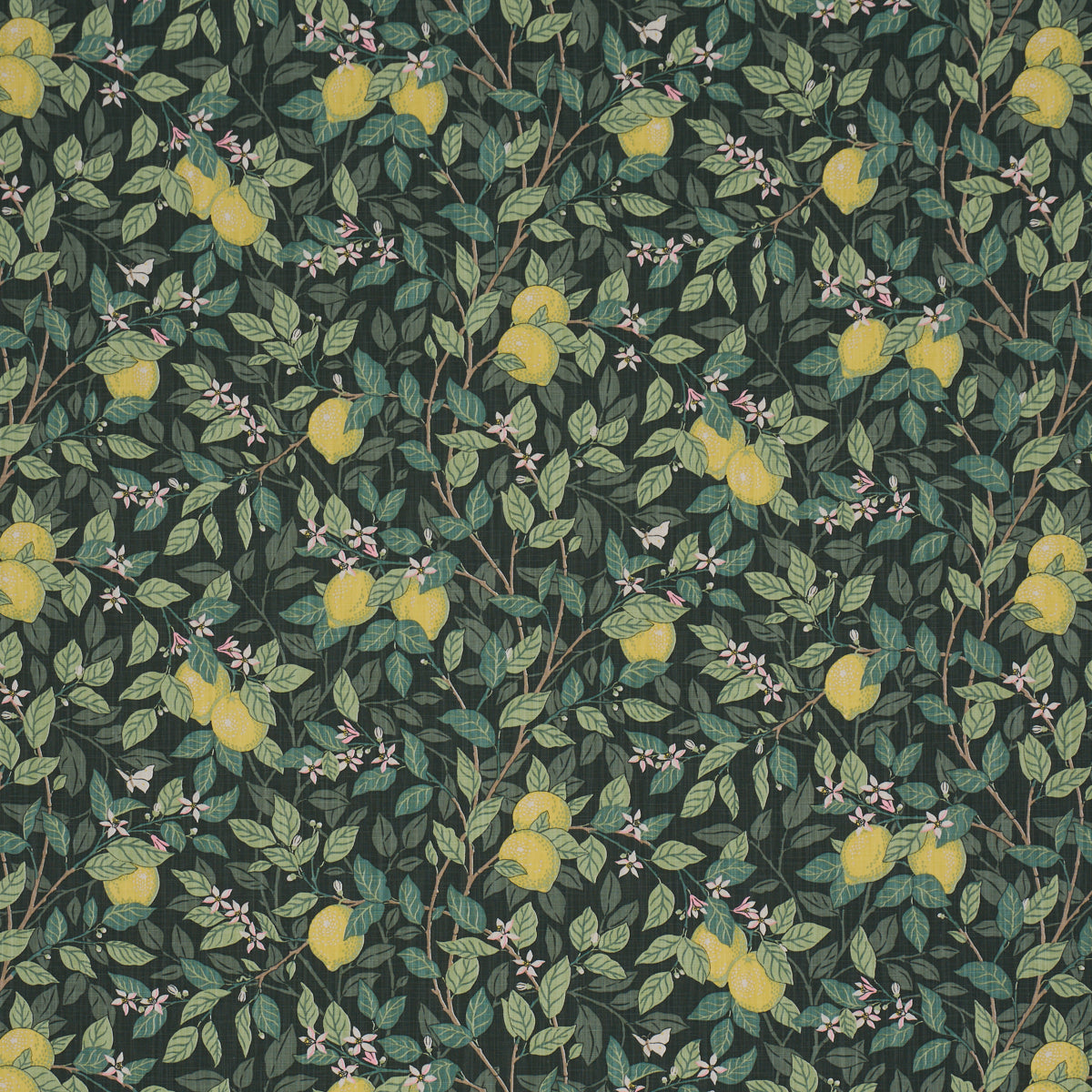Citronträd - Green - Schumacher 182951 Fabric - Schumacher Fabric