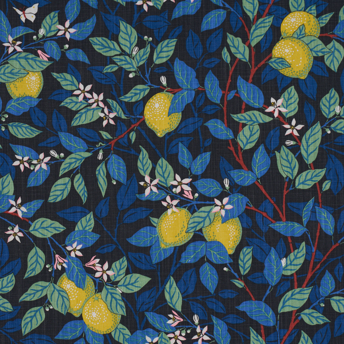 CITRONTRD-SPRUCE-AND-BLUE-SCHUMACHER-182952 - Schumacher Fabric