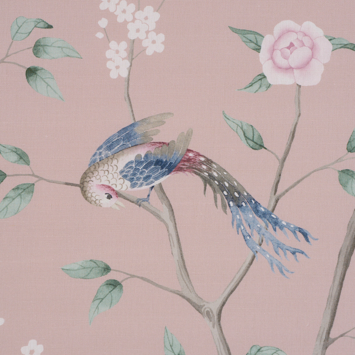 PARADISE-BIRDS-BLUSH-SCHUMACHER-183031 - Schumacher Fabric