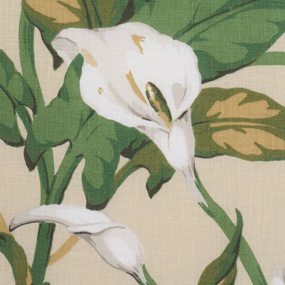 Arum Lilies - Parchment - Schumacher 183122 Fabric - Schumacher Fabric