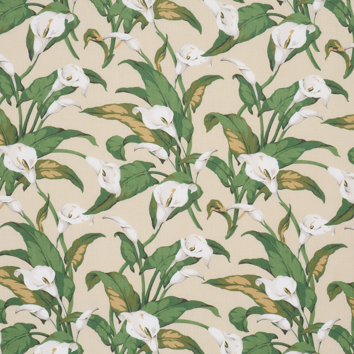 Arum Lilies - Parchment - Schumacher 183122 Fabric - Schumacher Fabric