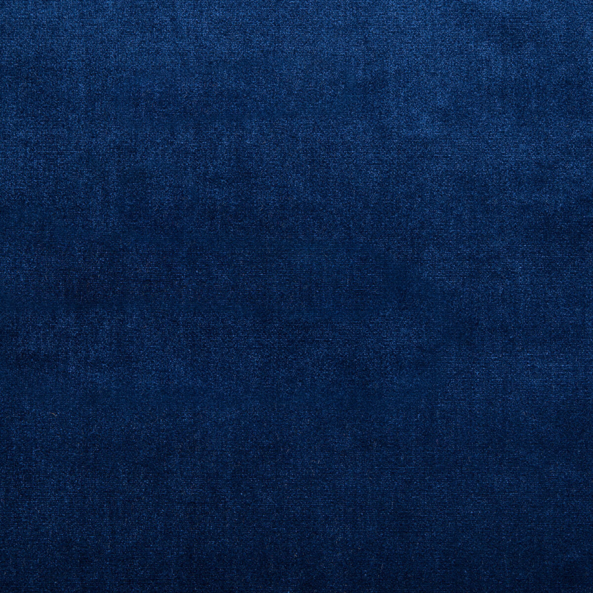 Duchess Velvet - Navy