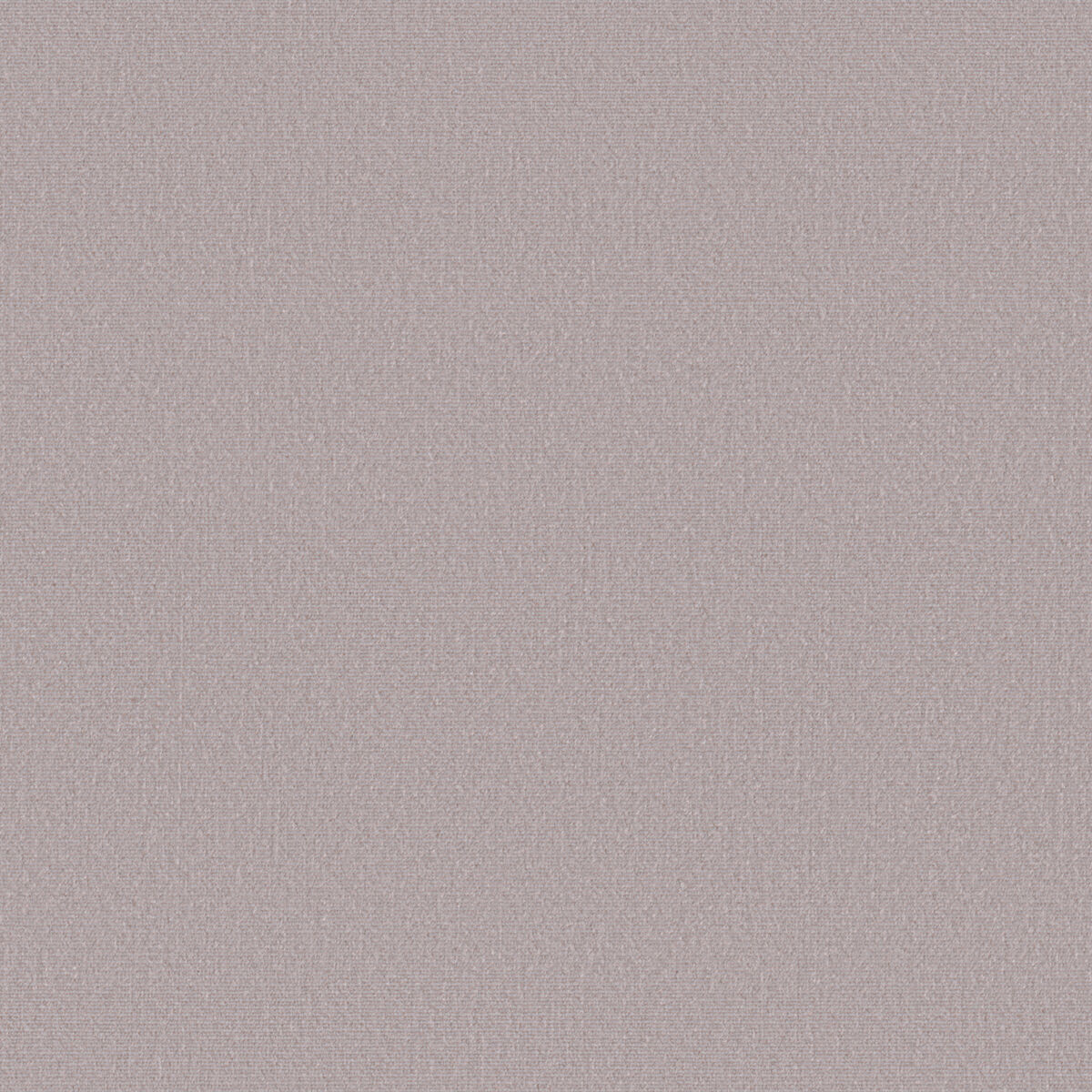 Duchess Velvet - Blush