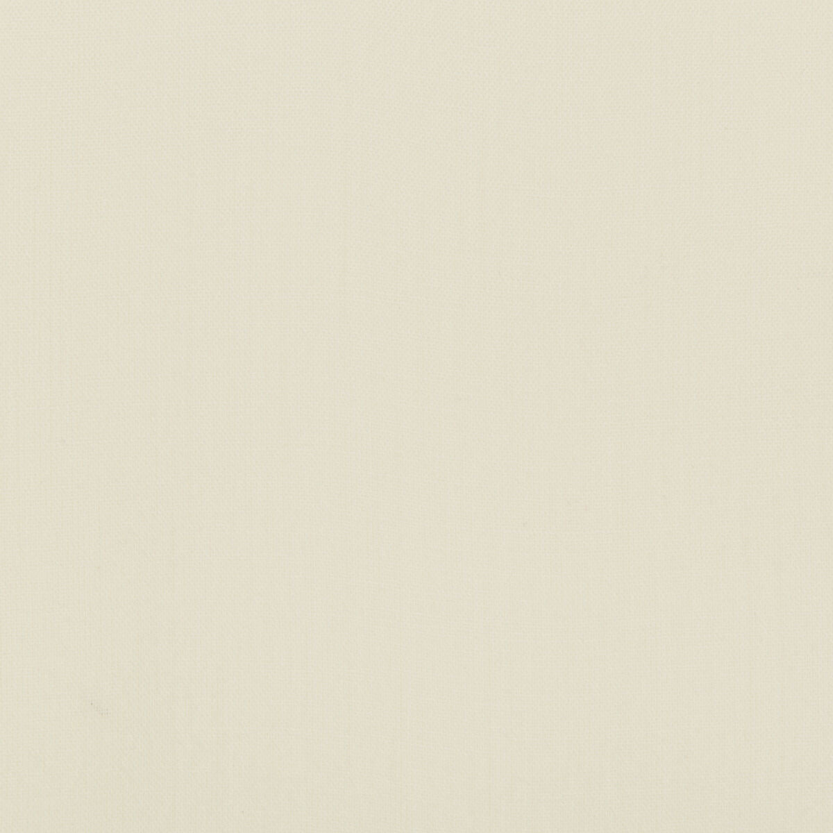 Brora Sheer - White