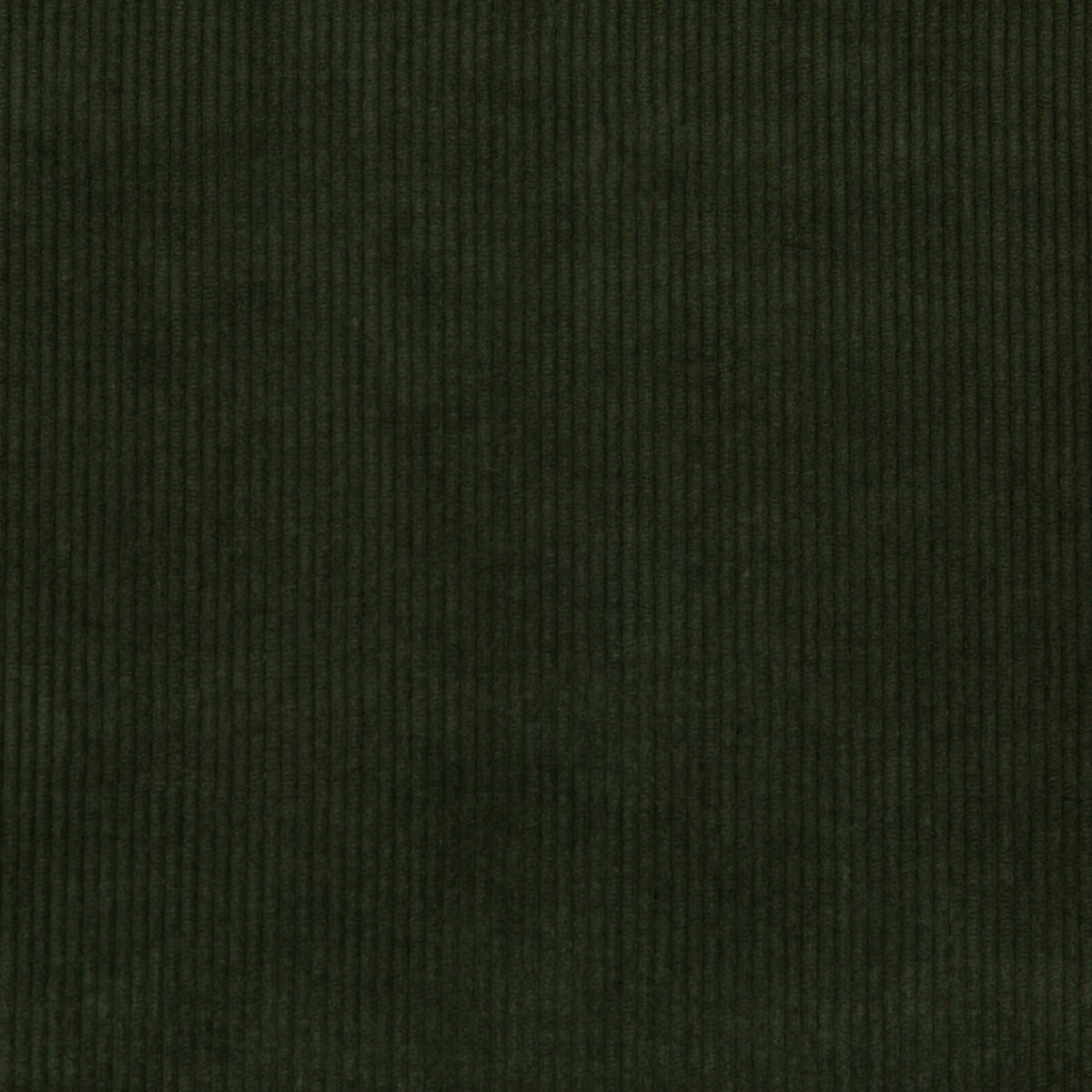 Saranac Cord - Loden - Lee Jofa Fabric
