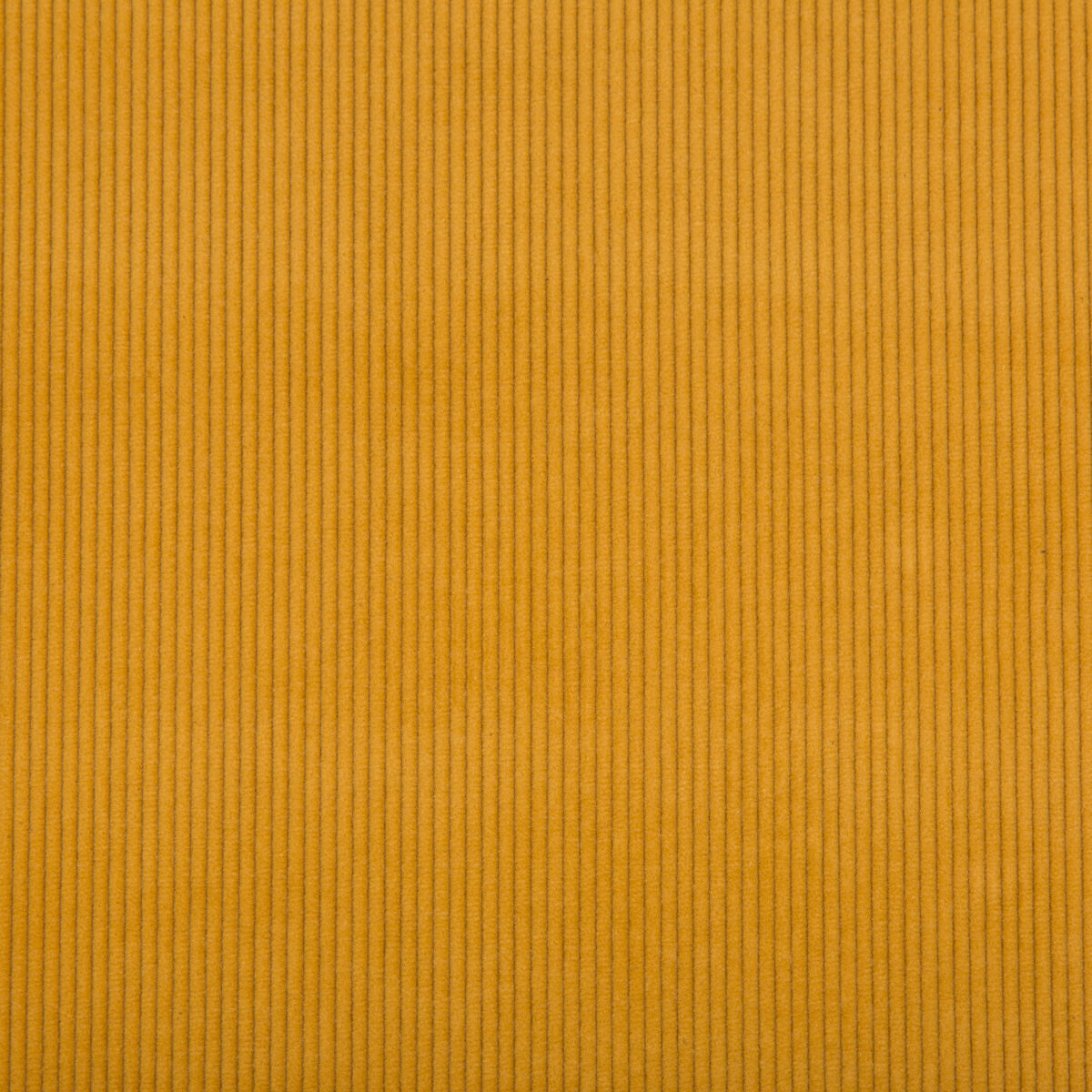 Saranac Cord - Gold - Lee Jofa Fabric