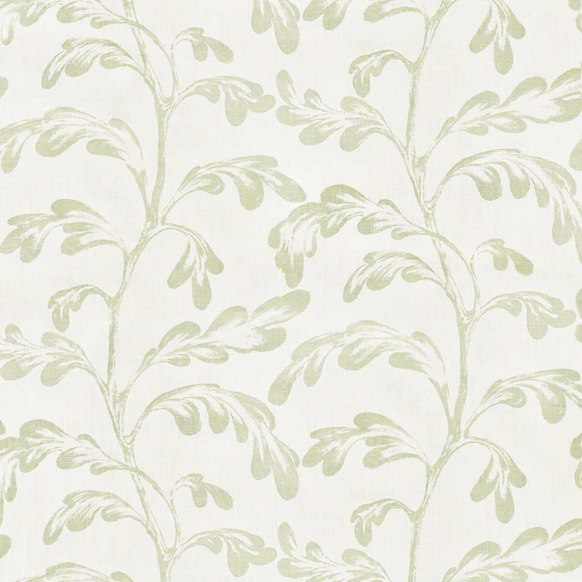 Ava Nivelles Oyster - Celadon - LEE JOFA Tela