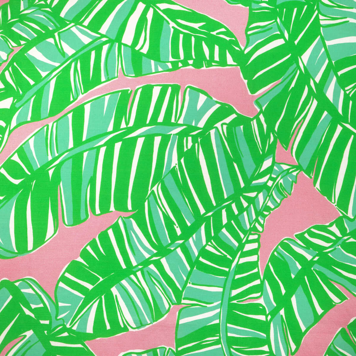 Go Bananas - Pink/Green