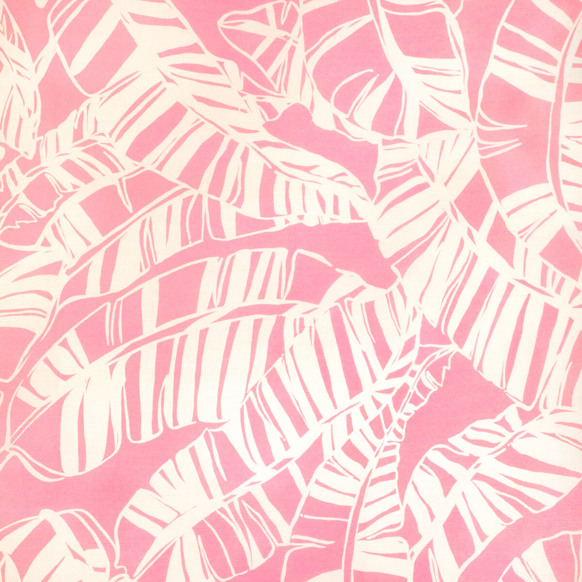 Just Bananas - Pink
